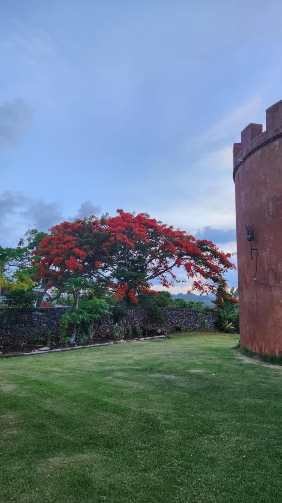 Bed and Breakfast El Castillo Las Galeras Exterior foto